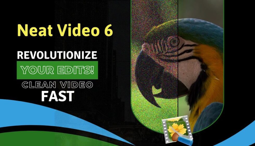 Neat Video v6 Pro (v6.0.9) リリース