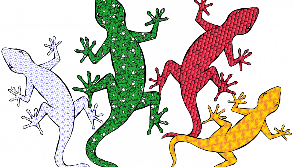 xtreampath_live_wallpaper_01