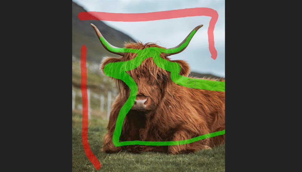 bfx_optics_2026_masking