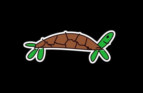 Turtle