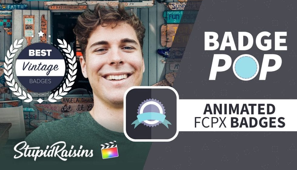 Stupid Raisins Badge Pop 発売