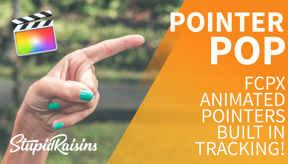 Stupid Raisins Pointer Pop 発売