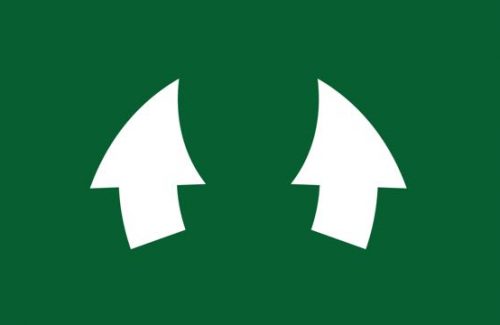 Anticipation-Overshoot-10