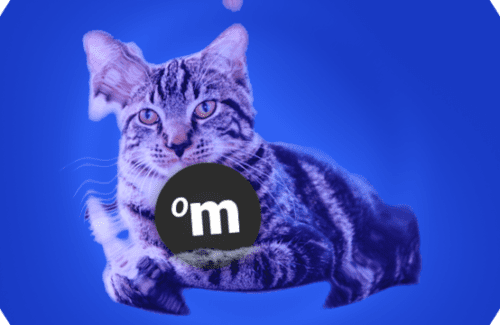 Distortion-droplet-IN