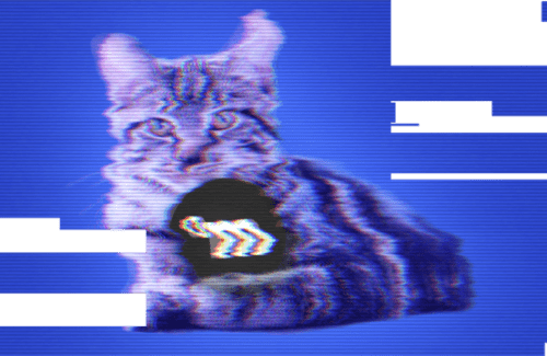 Distortion-glitch-in