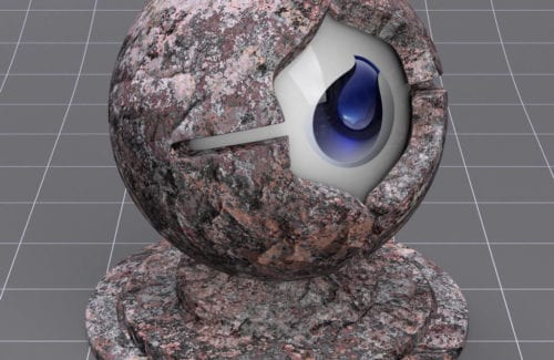 STONE-Lichen-Covered-Stone-021