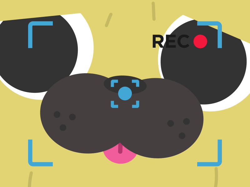 wiggle_It_after_effects_shakey_cam