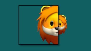 4-Magnifiers-Rectangle