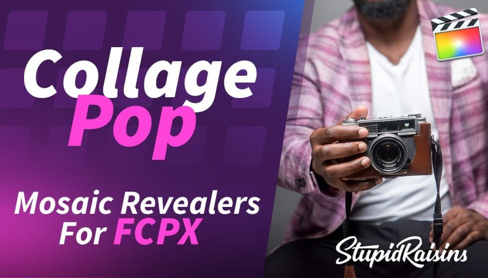 Stupid Raisins Collage Pop 日本語字幕付きチュートリアル