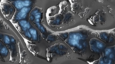 Chrome-Ridget-Full-Screen