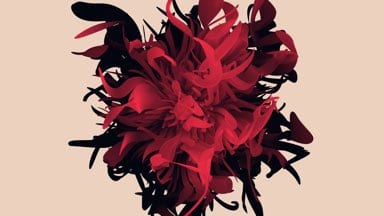 Dark-Red-Flower