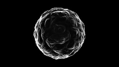 Fresnel-Ridget-Ball-03