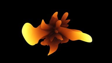 Furry-Orange-Seaweed-02