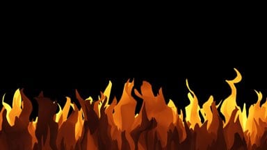 Furry-Orange-Seaweed-03