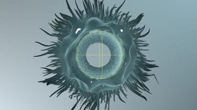 Rough-Falloff-Hairy-Torus