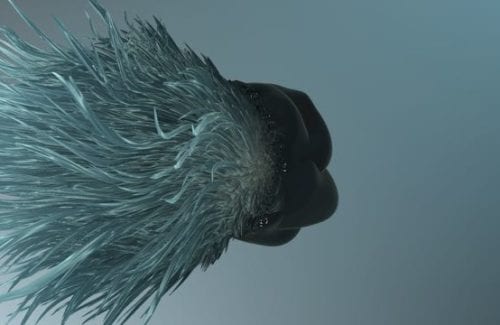 Storm-Rough-Falloff-Hairy