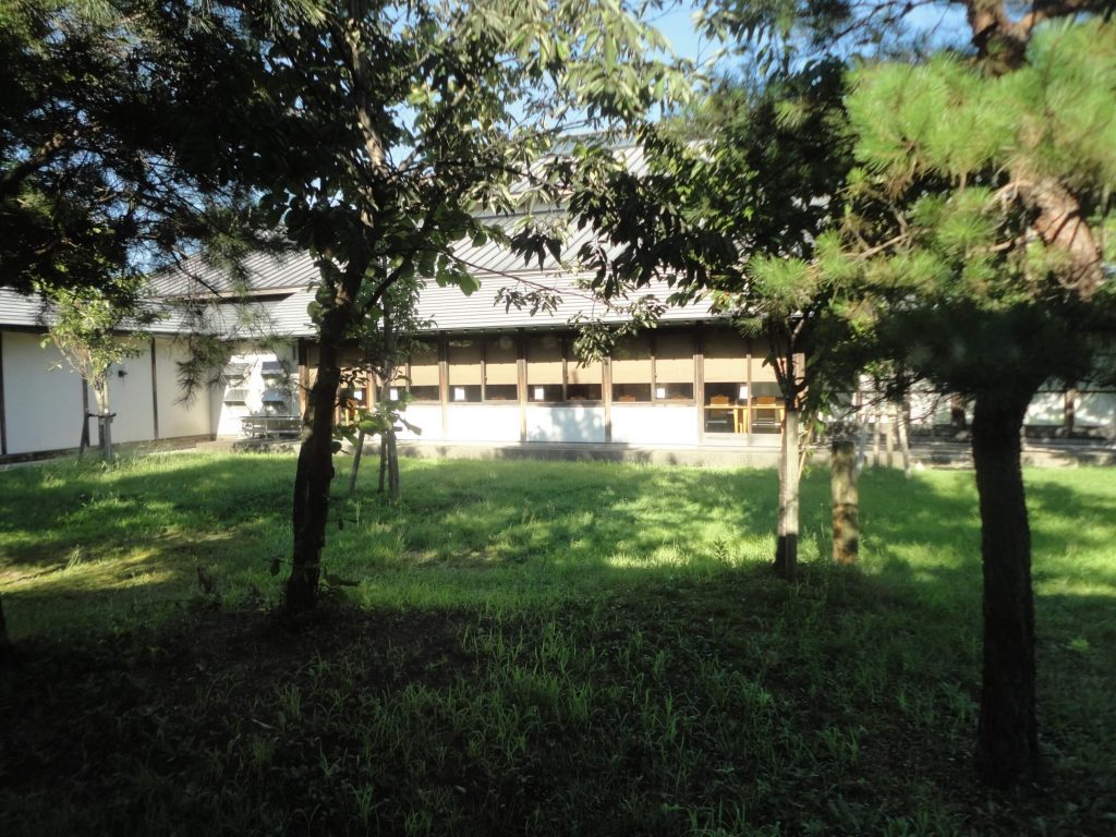 庭