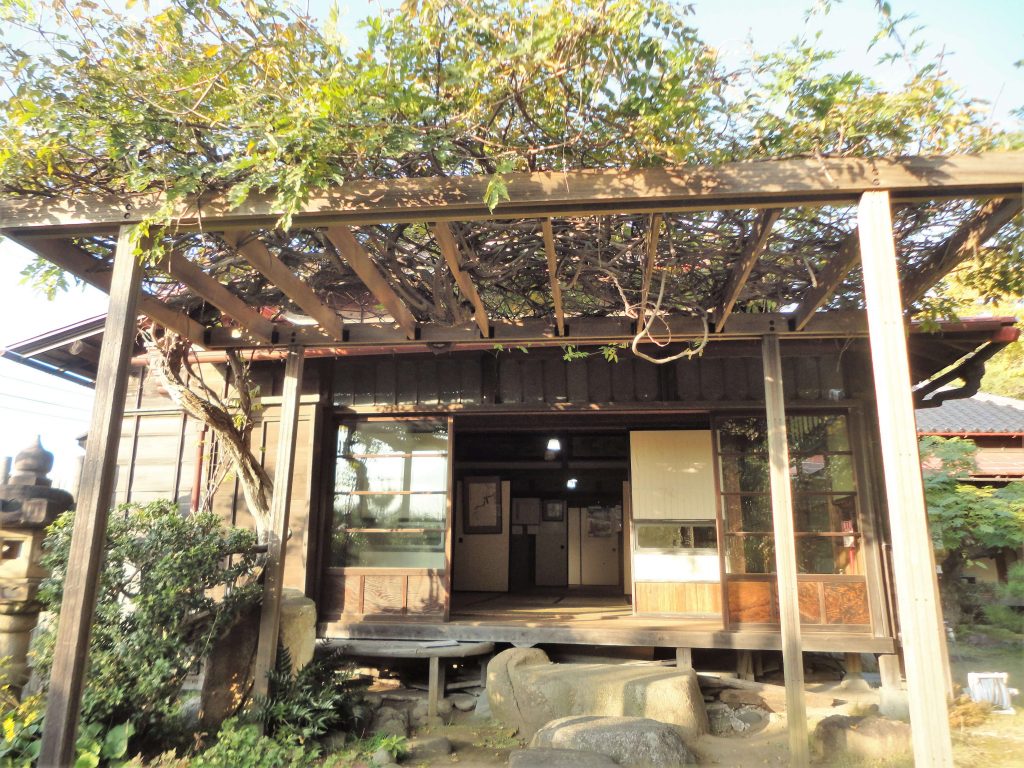 藤棚