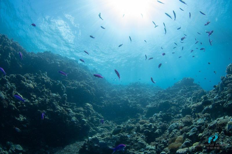 沖繩旅遊季節,沖繩浮潛,沖繩海上活動