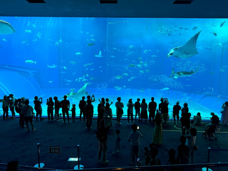 美麗海水族館