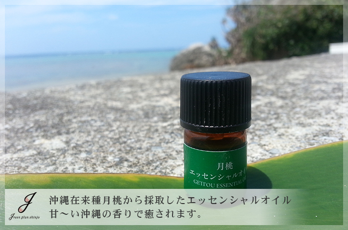 月桃精油