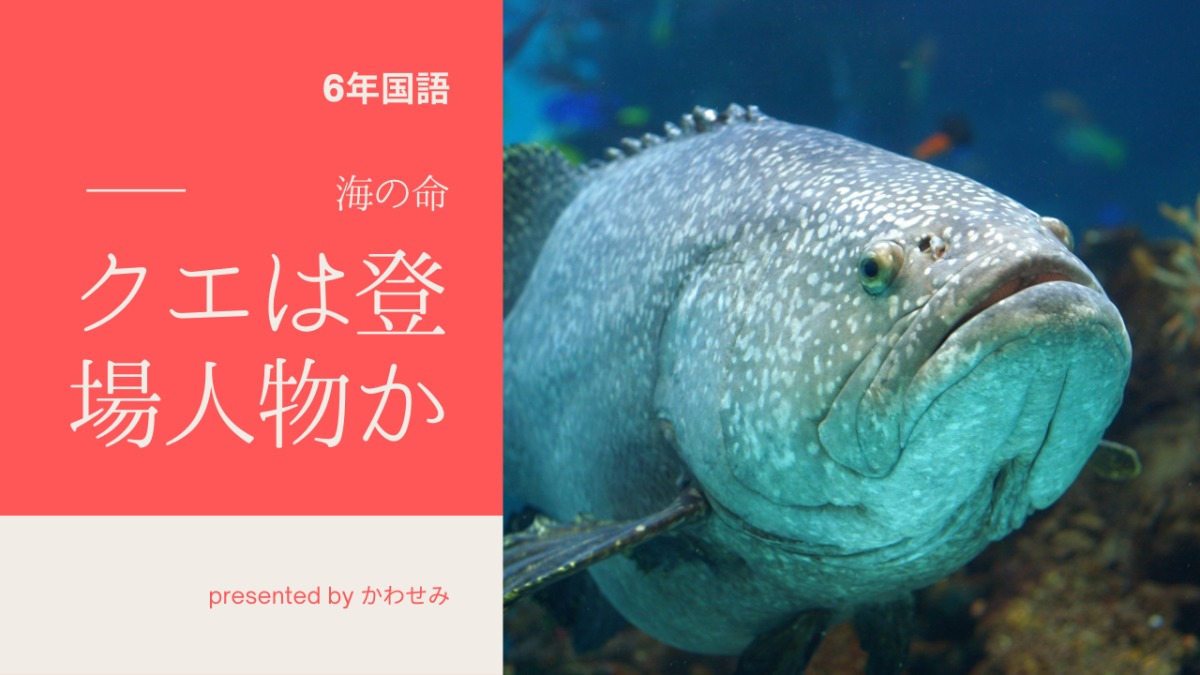 【6年国語】『海の命』クエは登場人物?