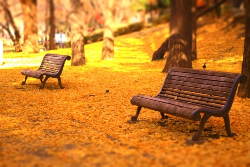 フォレスタネット 授業準備のための指導案 実践例共有サイト