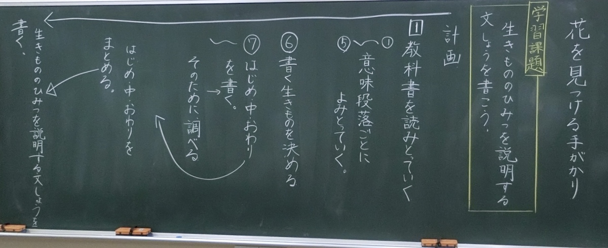 花を見つける手がかり 指導案, 花を見つける手がかり 全文 – ITXKRQ