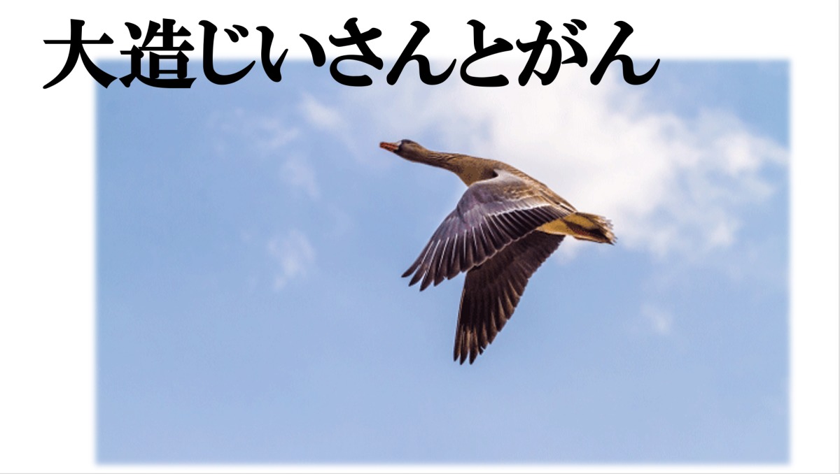 【第1時】大造じいさんとがん 【第1時】大造じいさんとがん