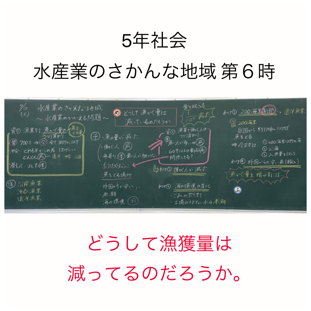 5年社会 水産業のさかんな地域 第6時