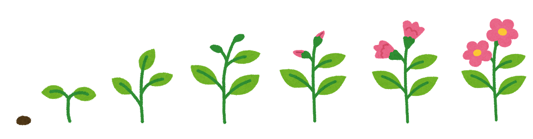 3年生 理科 植物のタネ