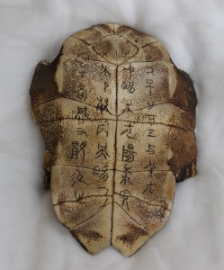 亀の甲羅のレプリカ教材『甲骨文字』
