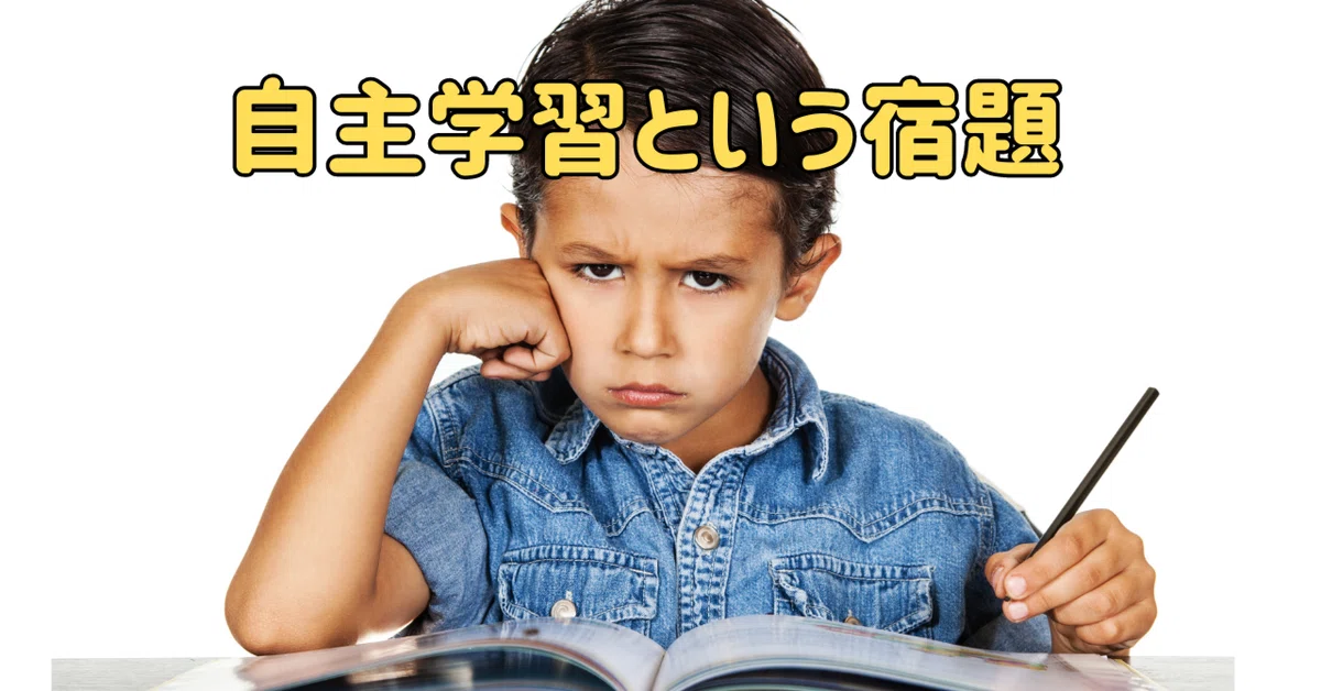 自主学習という宿題⑦「自分の考えを図や文章に表す」