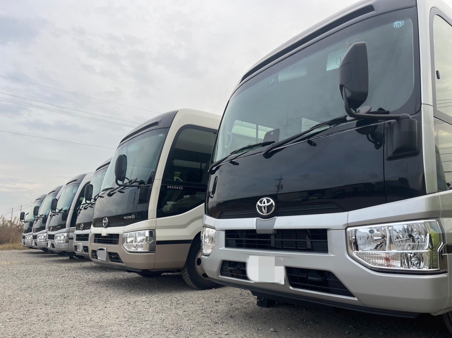 マイクロバスドライバー募集