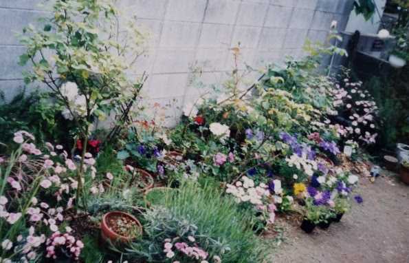 design