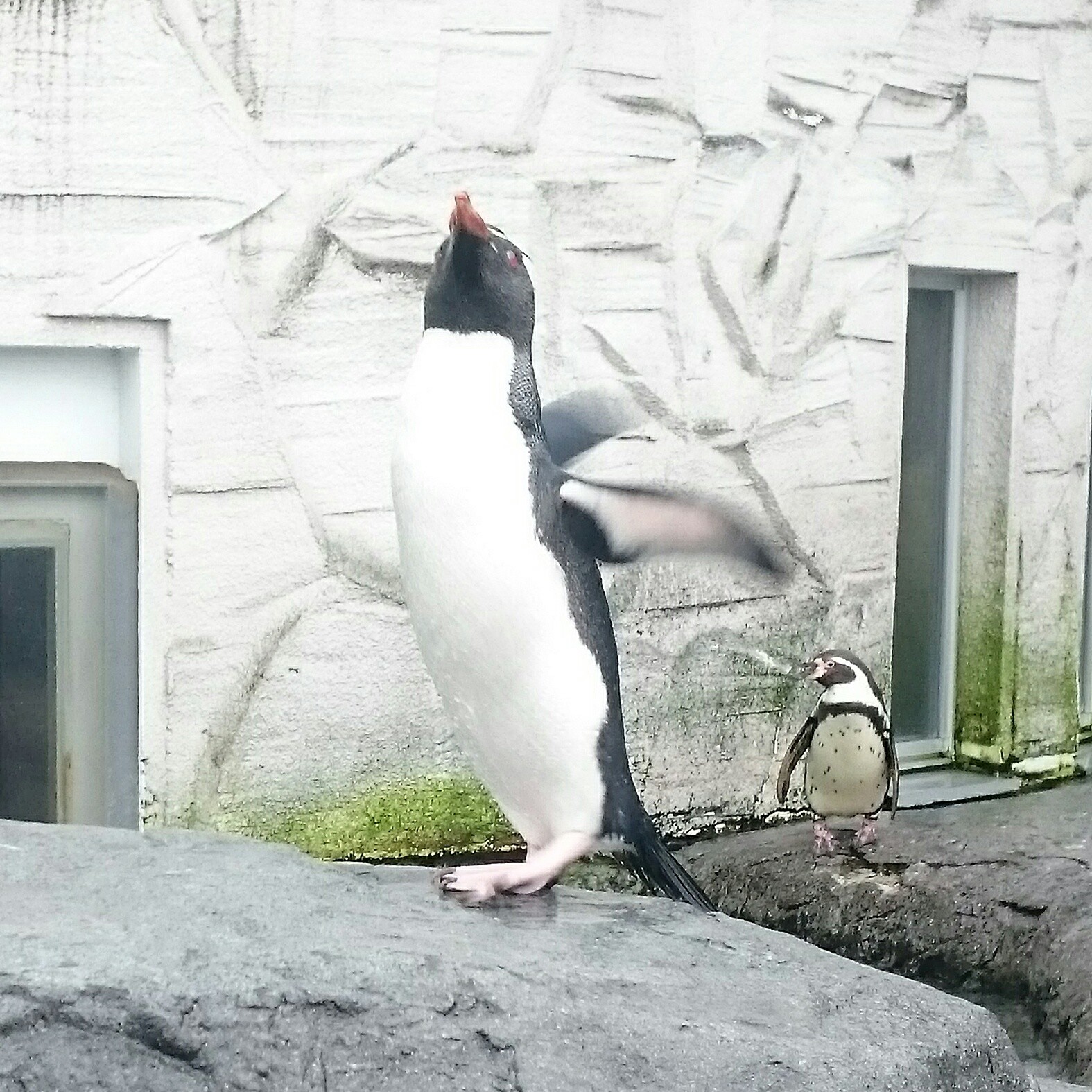 水酸化ナトリウム