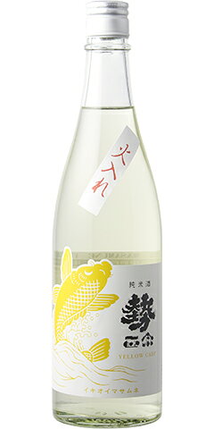 勢正宗 Yellow Carp 純米 火入れ 秋あがり 30BY