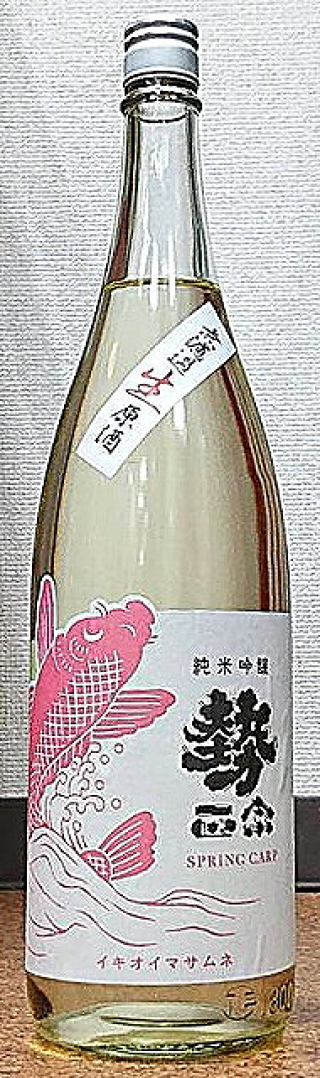 勢正宗 Spring carp 純米吟醸 生原酒 30BY
