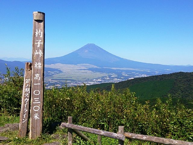 photo_2