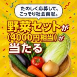 【送料無料】規格外野菜の詰め合わせセット4,000円相当（5~8種類程度）