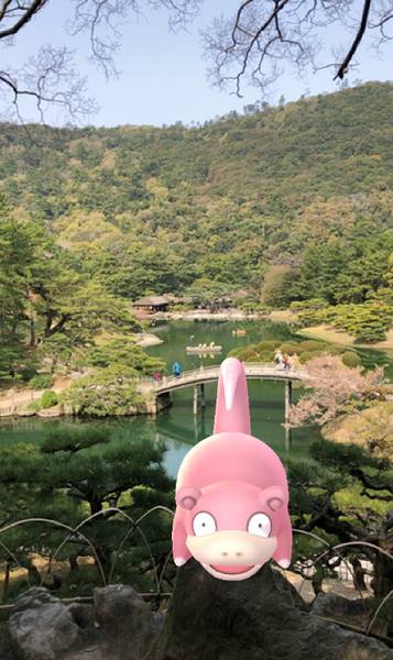 ポケモンgo うどん県にヤドンが大量発生 Arフォトコンテスト開催 ポケモンgo攻略まとめwiki ゲームドライブ ゲードラ