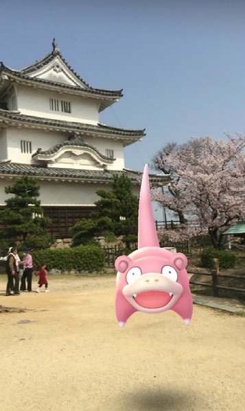 ポケモンgo うどん県にヤドンが大量発生 Arフォトコンテスト開催 ポケモンgo攻略まとめwiki ゲームドライブ ゲードラ