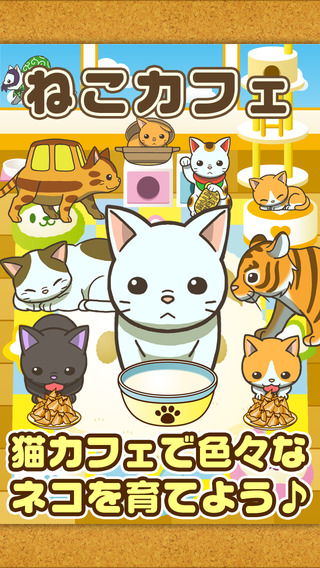 ねこカフェ 猫を育てる楽しい育成ゲーム ゲームドライブ ゲードラ