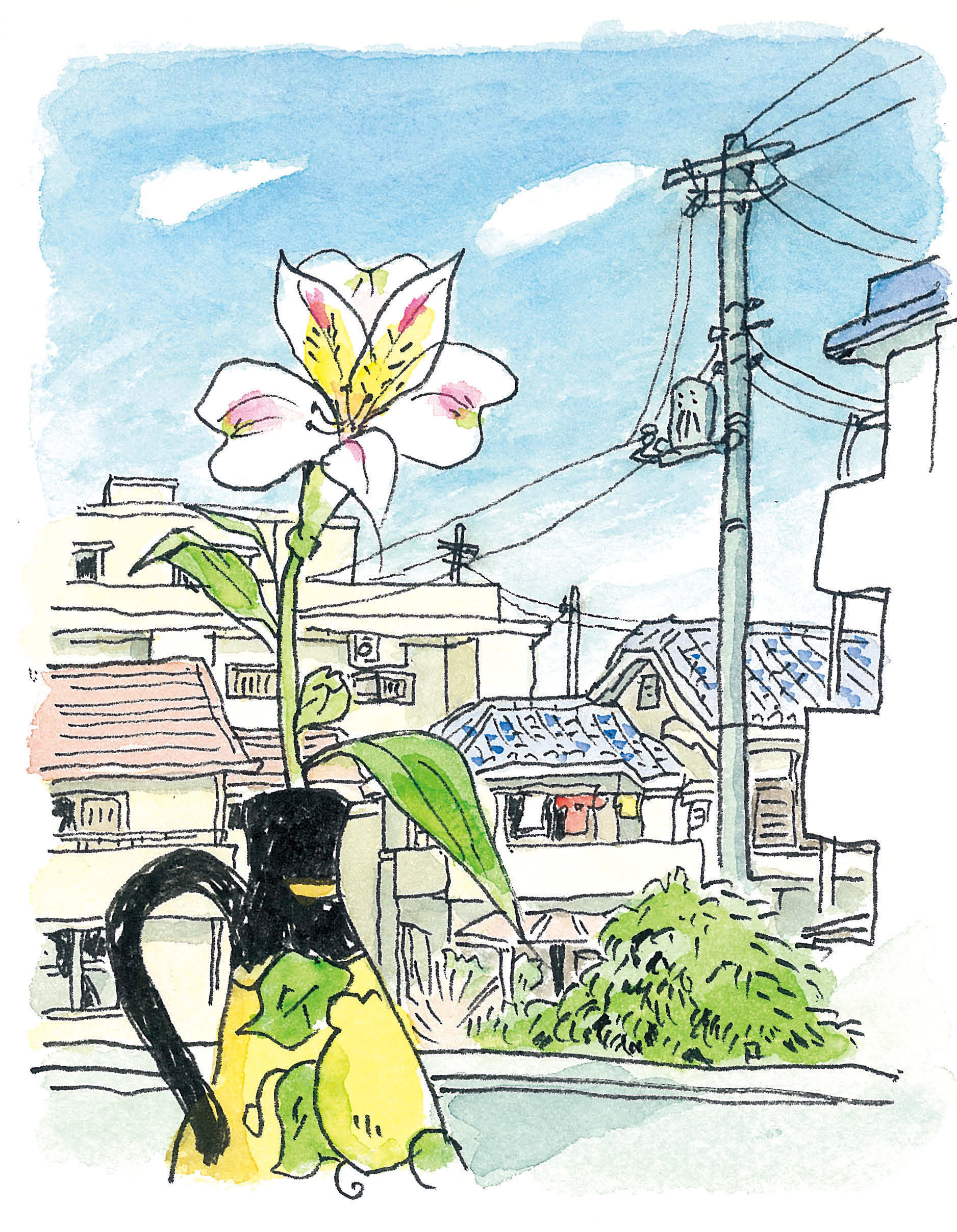 永沢まこと-街歩き-第7回-03