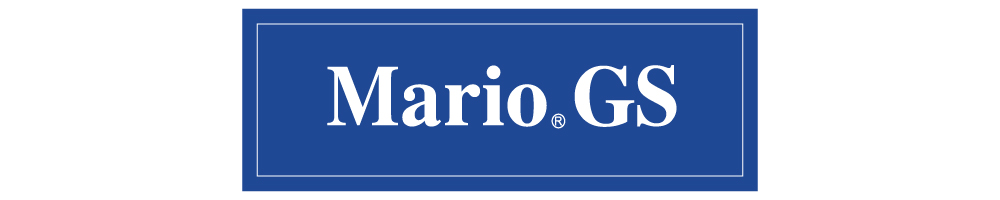 MARIO GSのロゴ画像