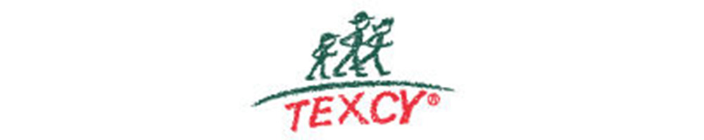 TEXCYのロゴ画像