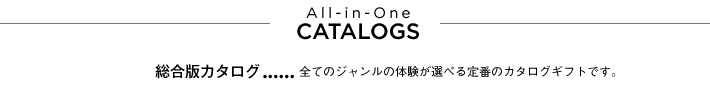 オールインワン