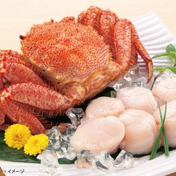 商品画像