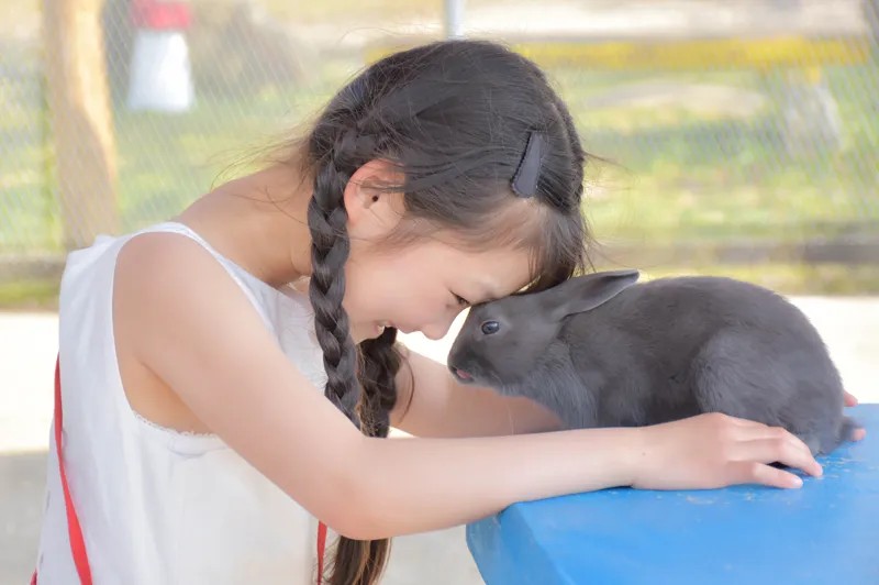 こどもたちのやってみたいを応援する「体験提供」への支援