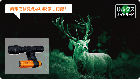 赤外線ライトを使った「ナイトビジョン」ではモノクロになる